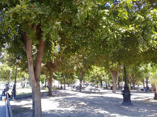 Plazuela 27 de Septiembre-Los Mochis必去景点