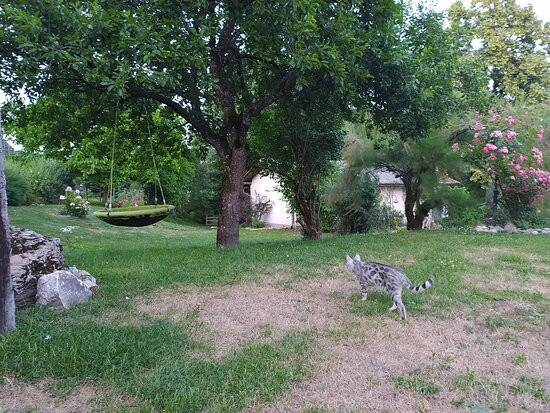 Biogasthof Wanker主图