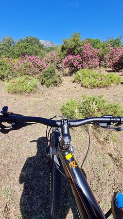 Grazalema Cycling Adventures景点图片