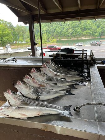 Xtreme Strike Guide Service-温泉城必去景点