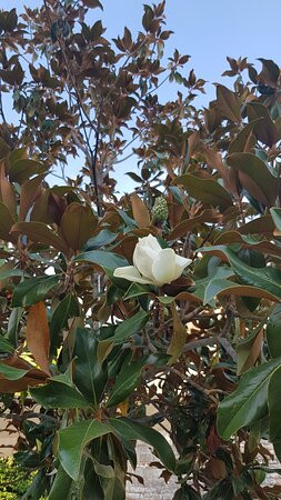 Iera Moni Agíou Ioannou Prodromou Vomvokous-诺帕克特斯必去景点