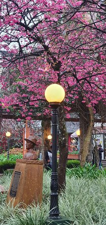 Praca Major Nicoletti-格拉玛多必去景点