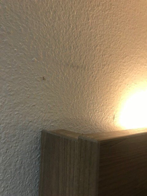 圣克莱门特北智选假日酒店主图