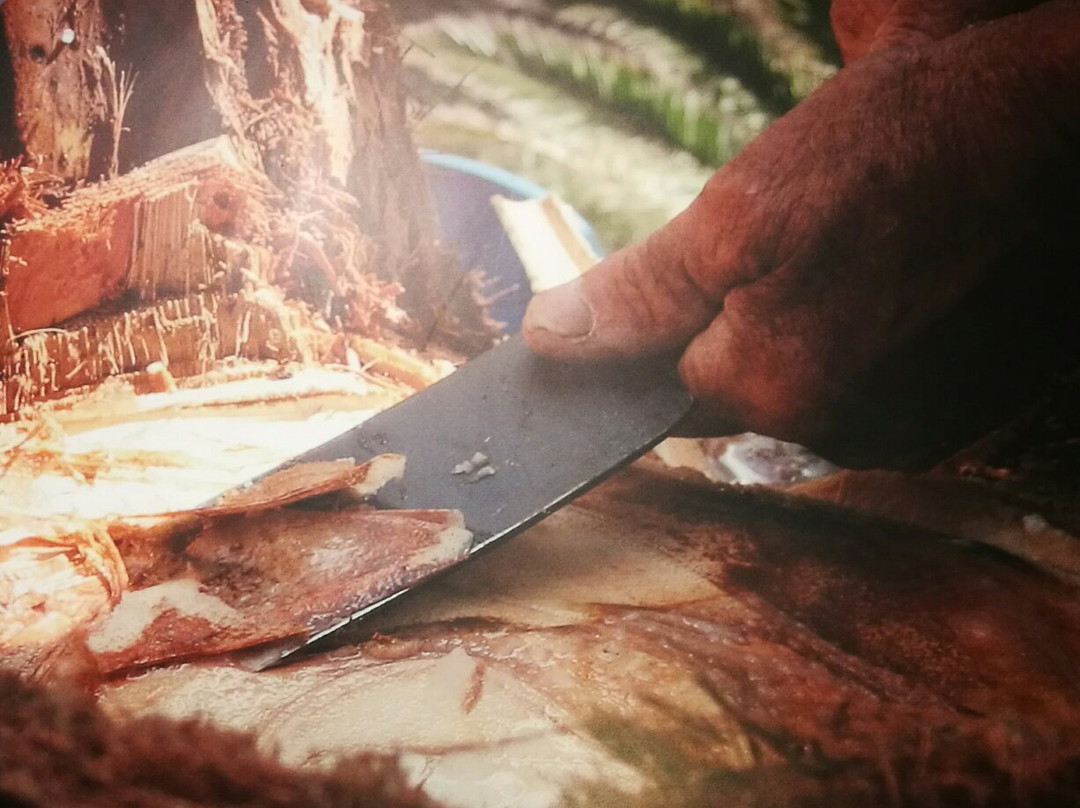 Casa De La Miel De Palma