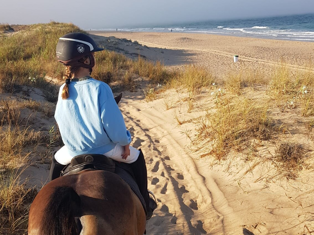 Argentina Polo Academy Europe景点图片
