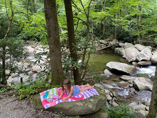 Chimneys Picnic Area-大雾山国家公园必去景点