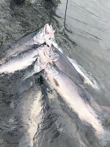 The River Crew-索尔多特纳必去景点