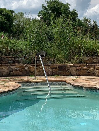 Cuz's Cabins and Resort主图