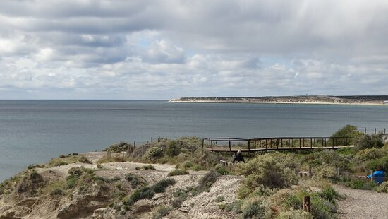 Punta Norte-Province of Chubut必去景点