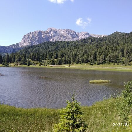 Al Gallo Forcello 1530主图