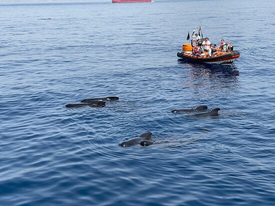 Turmares Tarifa-塔里法必去景点