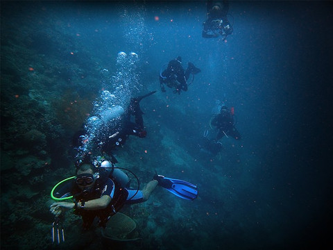 ION-C Dive Center-泗水必去景点