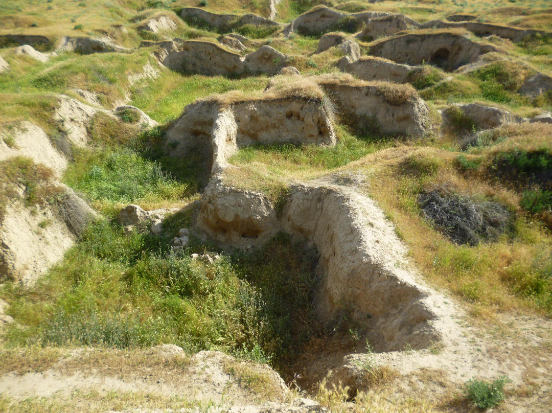 Afrasiab景点图片