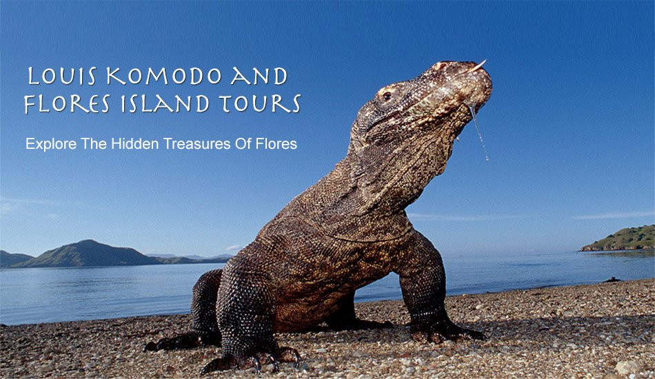 Louis Komodo and Flores Island Tours景点图片