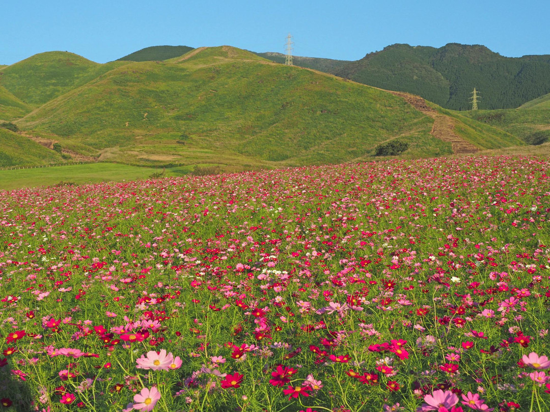 西原町旅游攻略图片