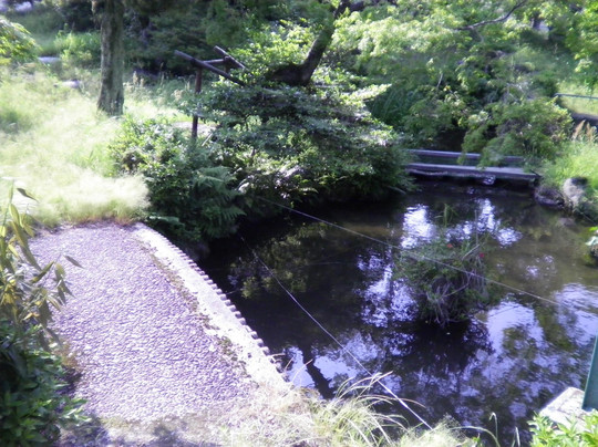 Ozukoen-瑞穗市必去景点