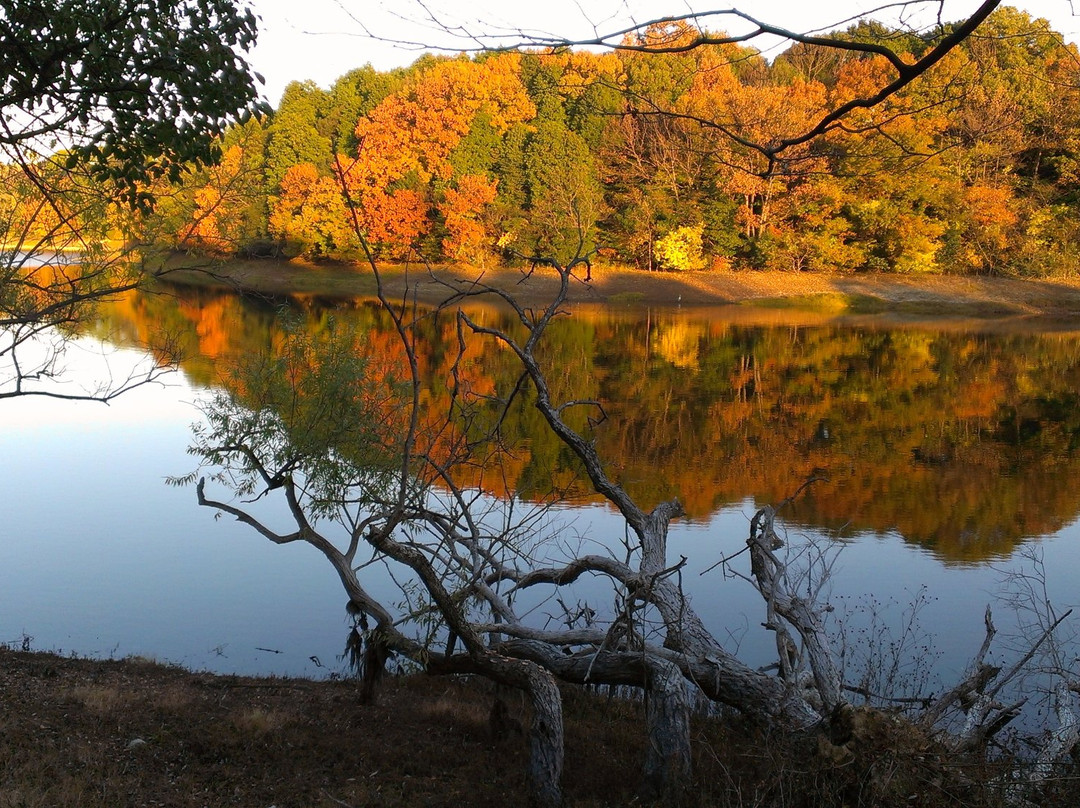 河内长野市旅游攻略图片