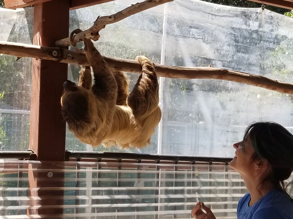 瓦利森特旅游攻略图片