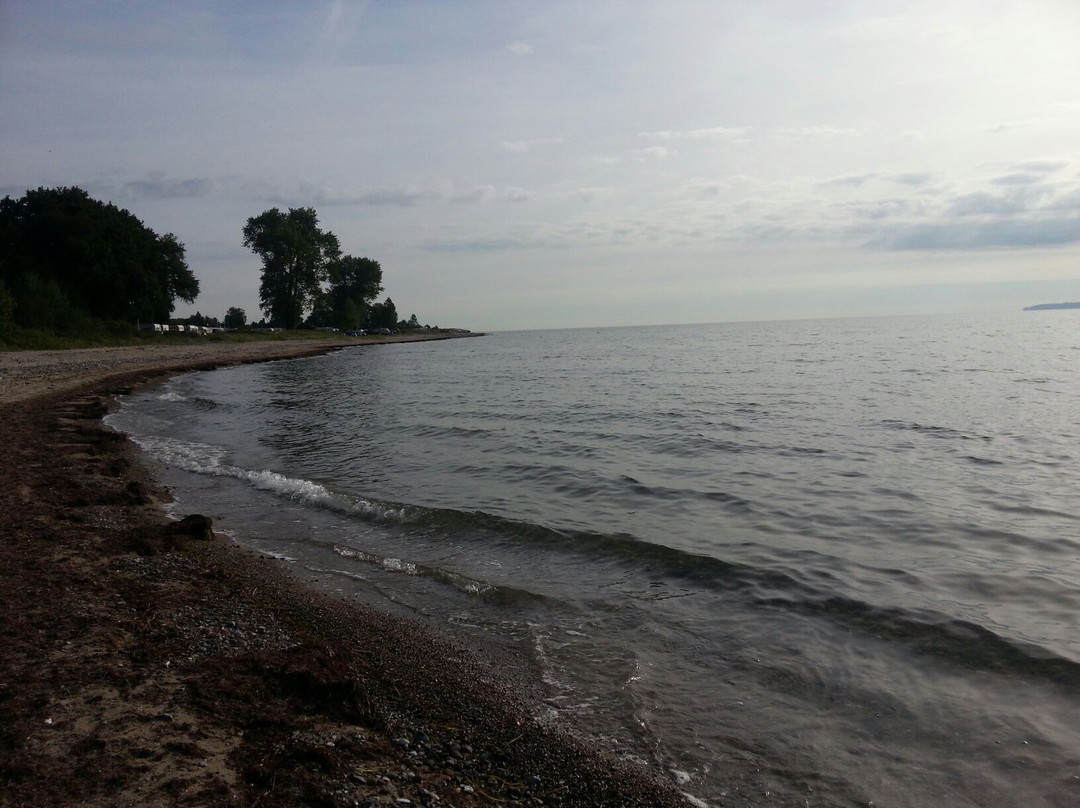 Waabs旅游攻略图片