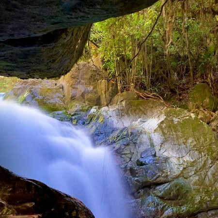 Rio savegre Waterfall景点图片