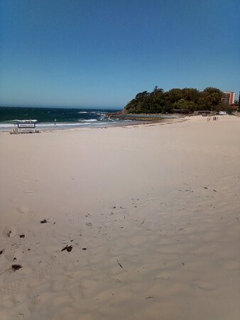 Forster Main Beach景点图片