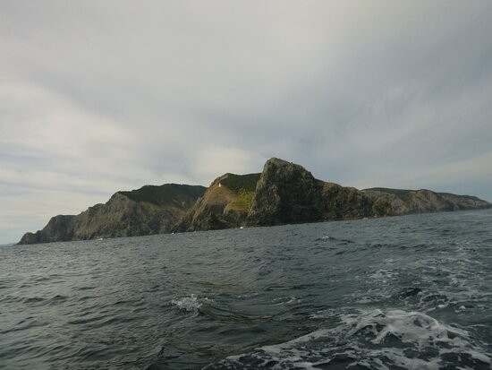 Bay of Islands Water Taxi景点图片