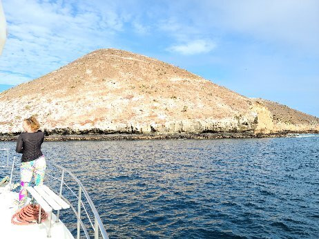 Isla Daphne Mayor-加拉帕戈斯群岛必去景点