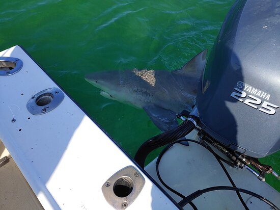 SeaSquared Charters-马拉松必去景点