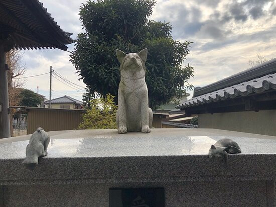 Chosen-ji Temple-柏市必去景点