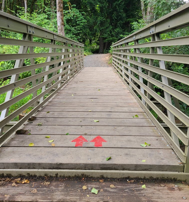 Mclane Creek Nature Trail景点图片