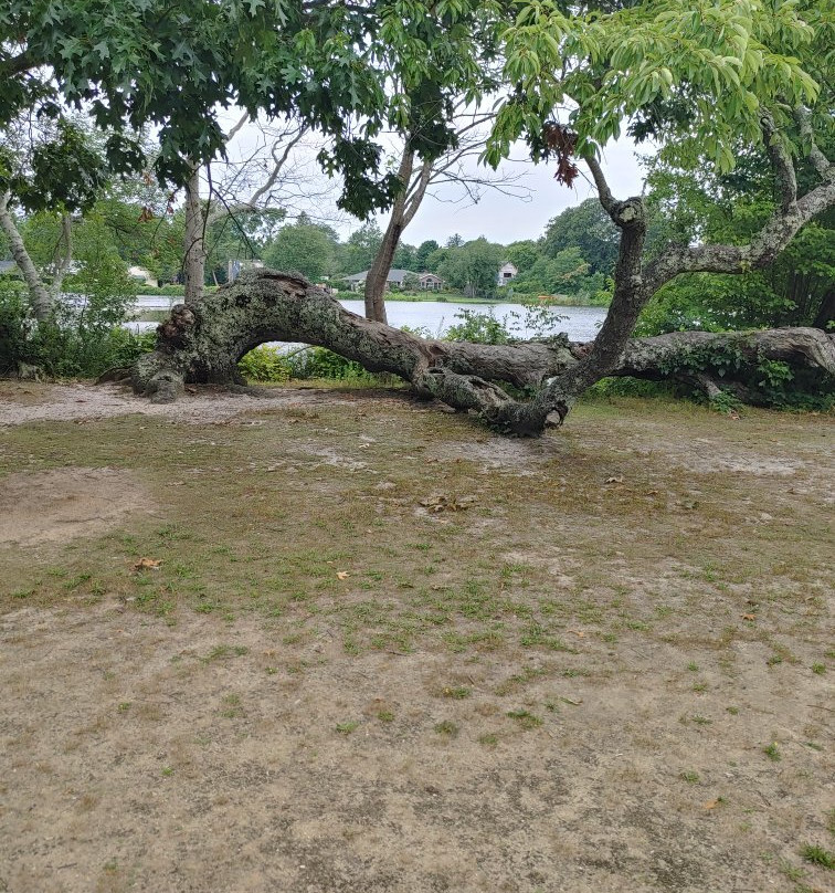 Brookwood Hall-East Islip必去景点