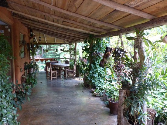 Ecoalojamiento El Manantial主图