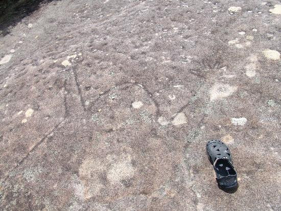 Dharawal Aboriginal Engravings Site-Royal National Park必去景点