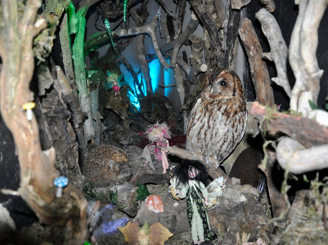 Leprechaun and Fairy Underground Cavern景点图片