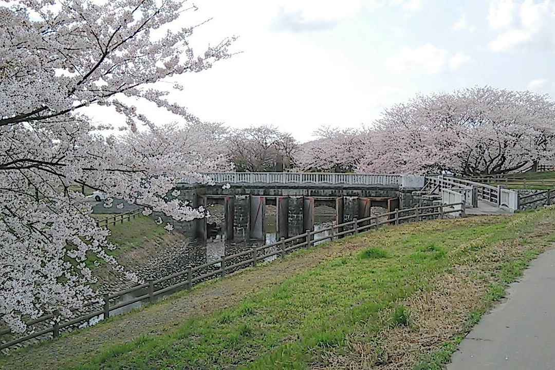 Kajikawa Chisui Memorial Park-新发田市必去景点