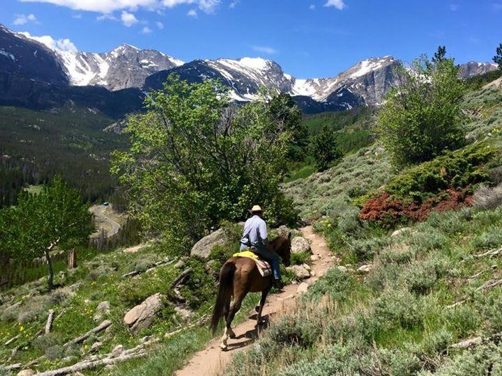 Jackson Stables-埃斯蒂斯公园必去景点