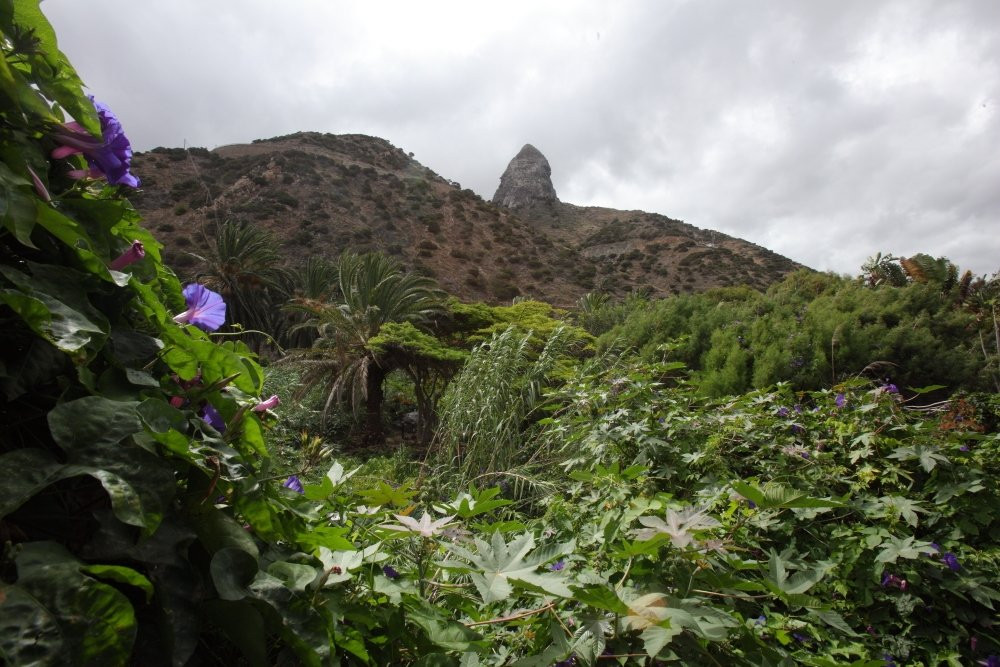 Jardin Botanico del Descubrimiento de Vallehermoso景点图片