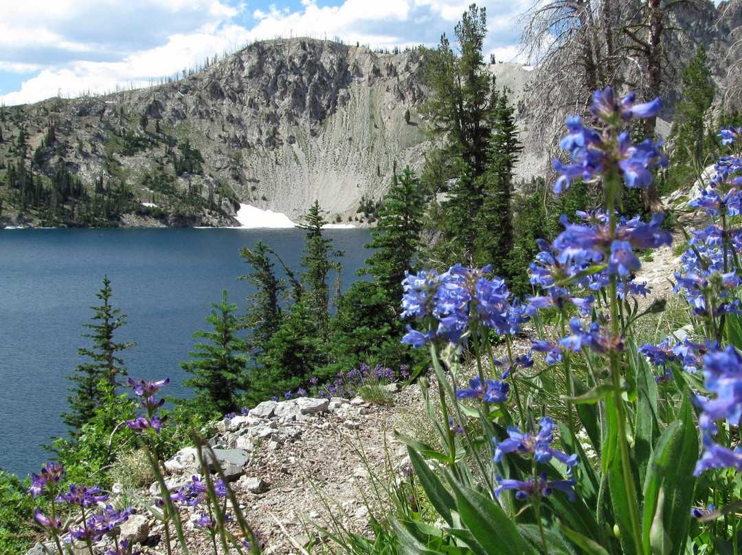 森瓦利旅游攻略图片
