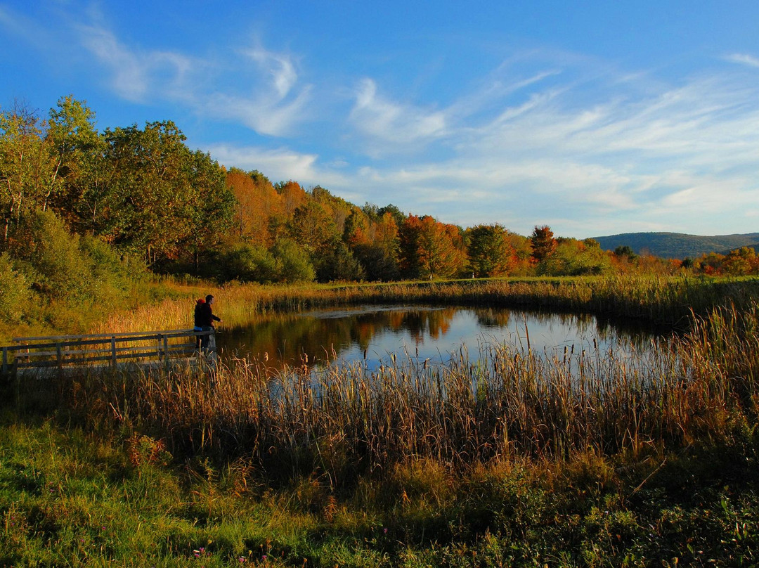 Tanglewood Nature Center & Museum景点图片