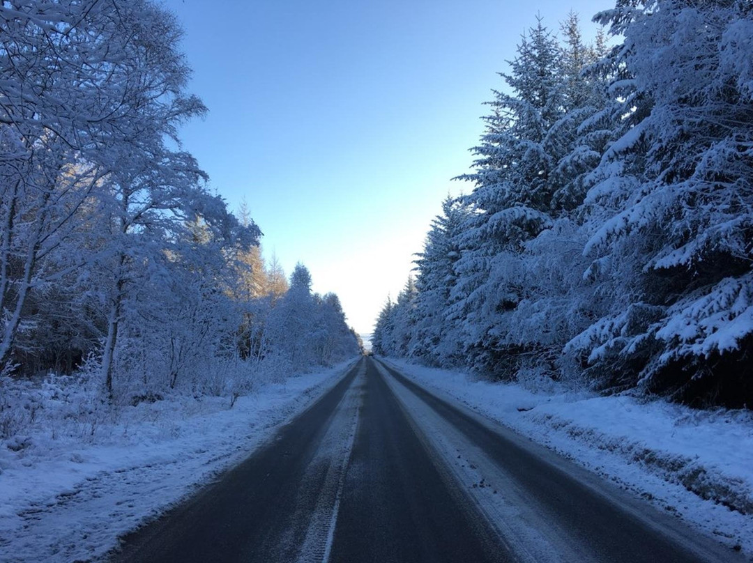 卡洛登沼泽旅游攻略图片