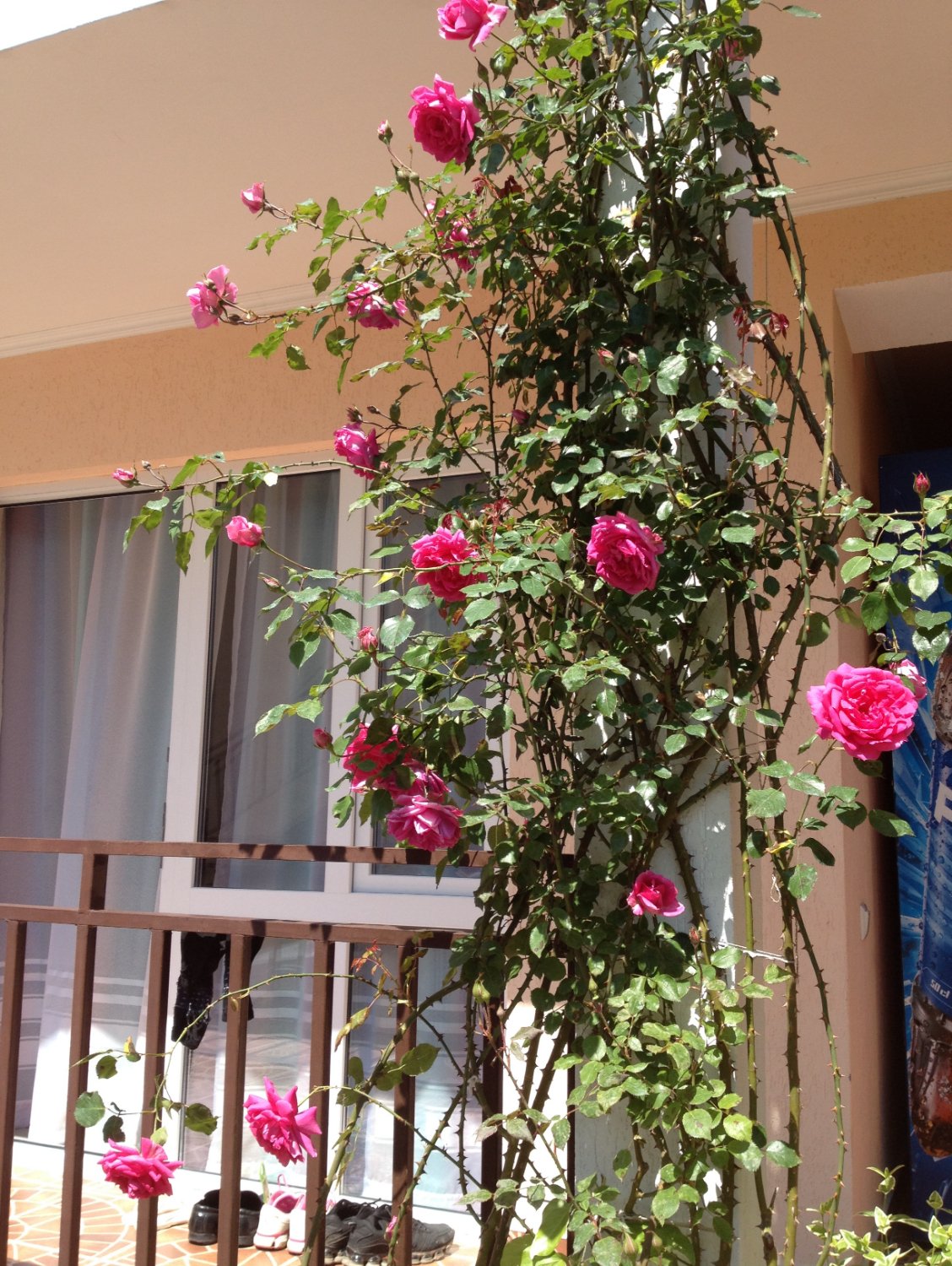 Guest House Avokado-浴室