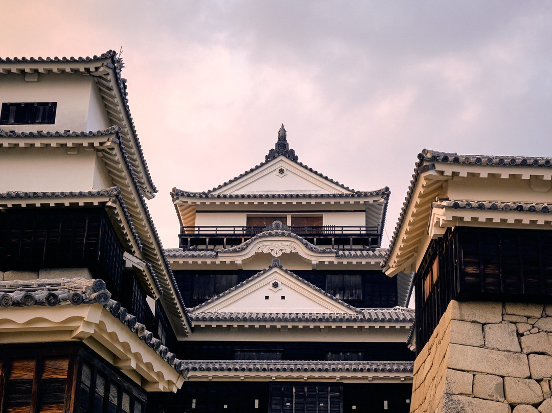 松山新豪酒店主图