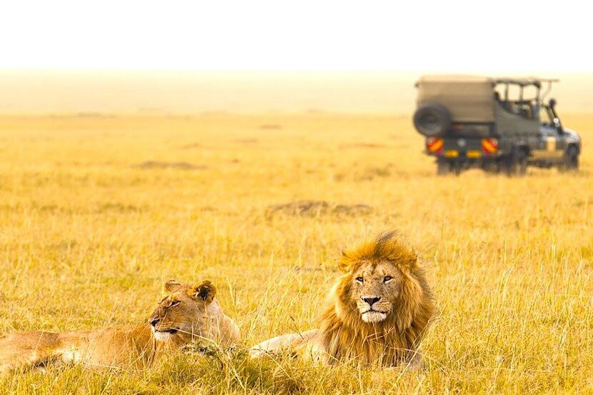 More Expeditions-莫西必去景点