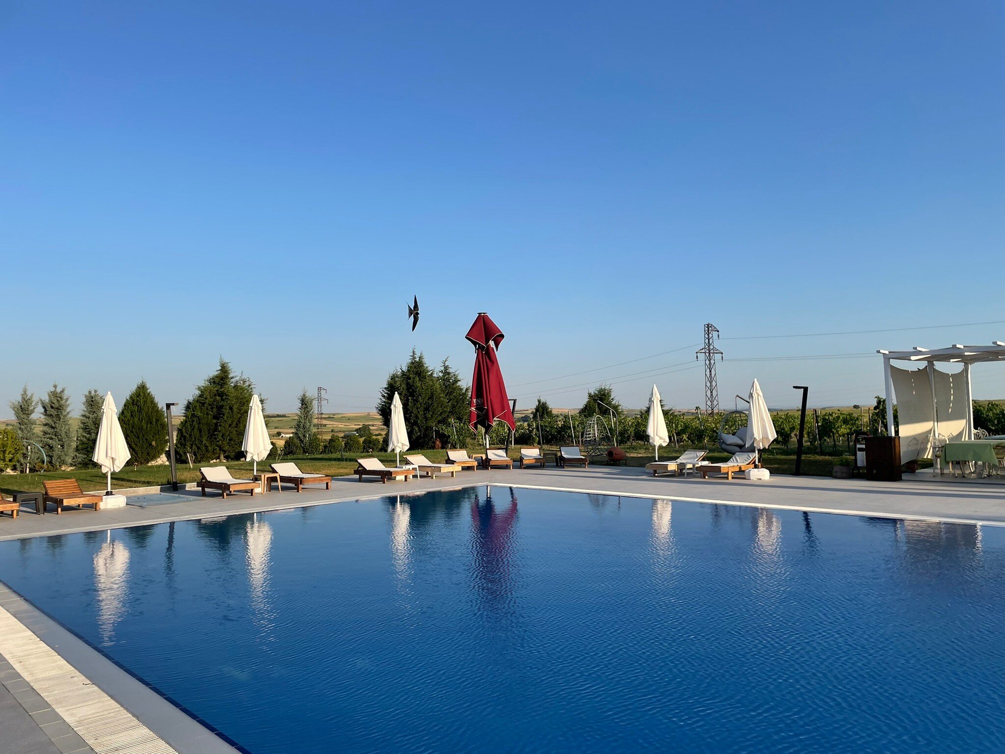 Vinum Hotel&Spa-官方