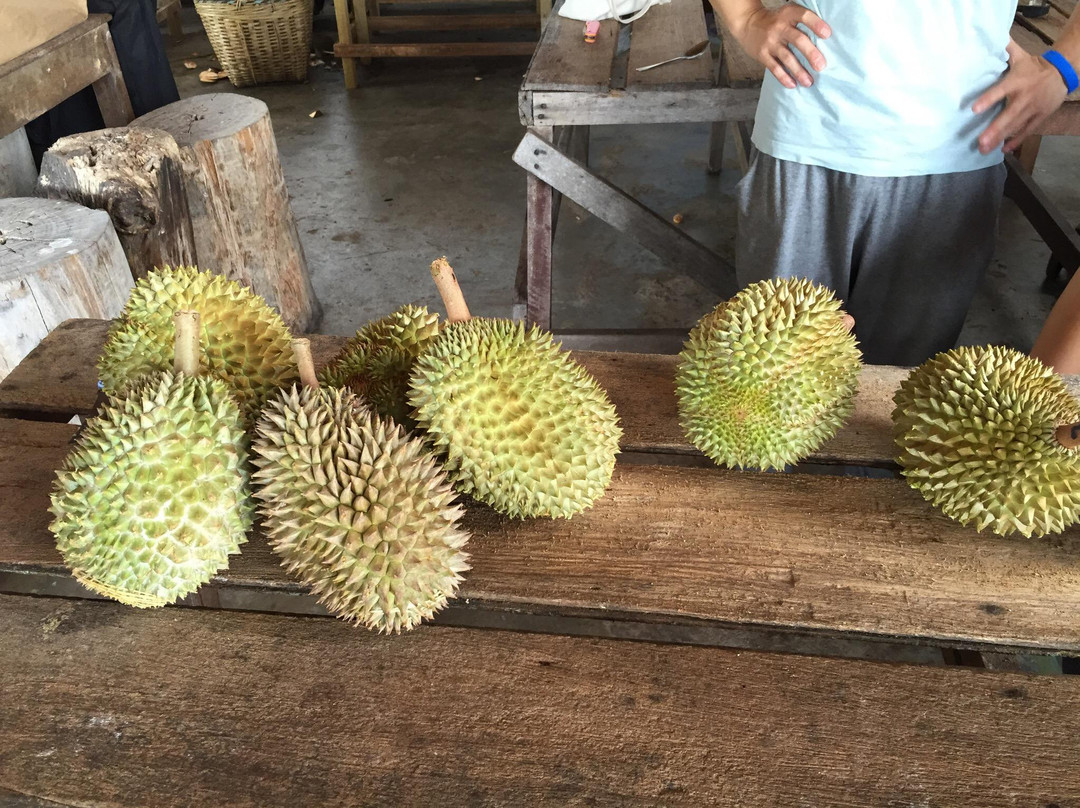 Bao Sheng Durian Farm景点图片