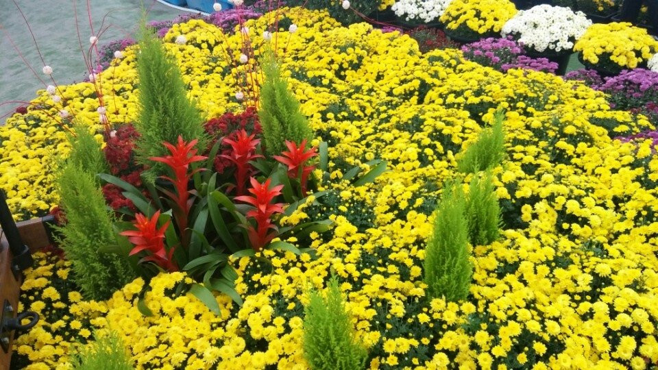 益山市旅游景点-Iksan Jungang Cheyuk Park