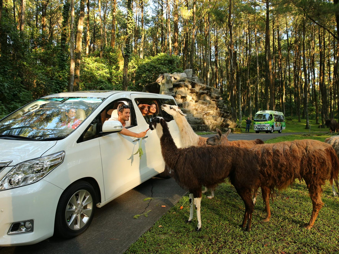 Taman Safari Prigen景点图片