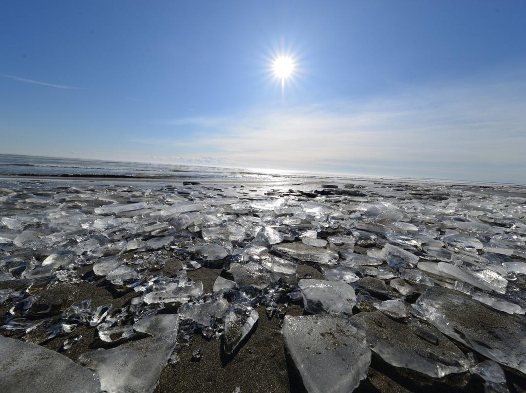 丰顷町旅游景点-Otsu Fishing Port