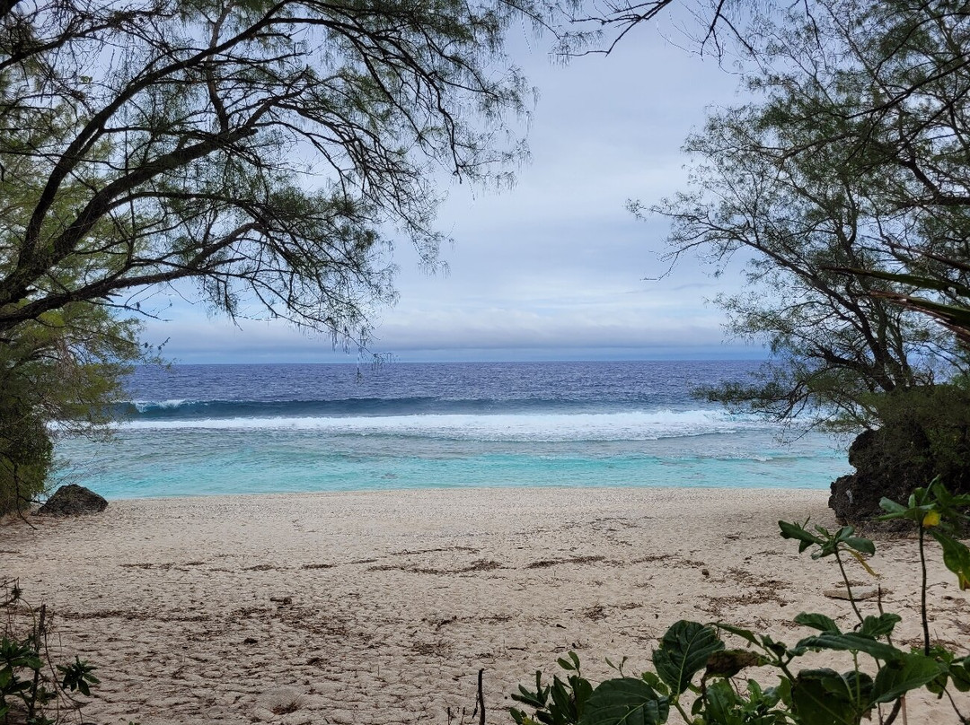 Taungaroro Beach景点图片