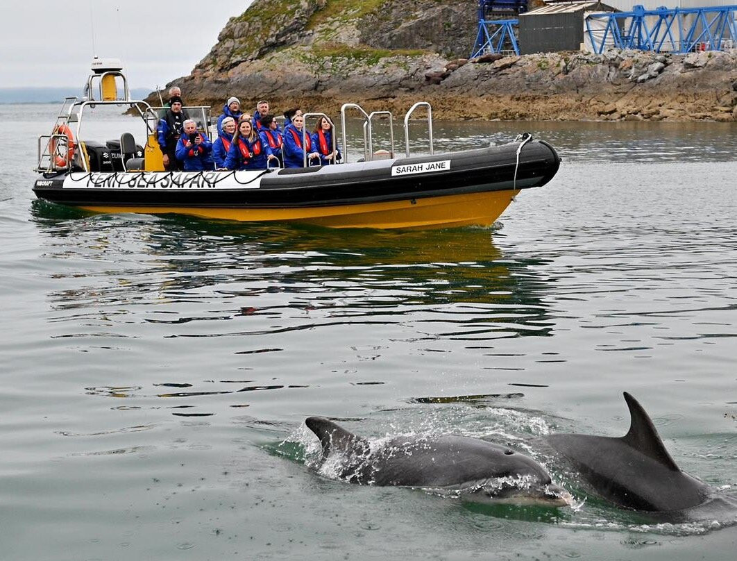 Fenit Sea Safari景点图片